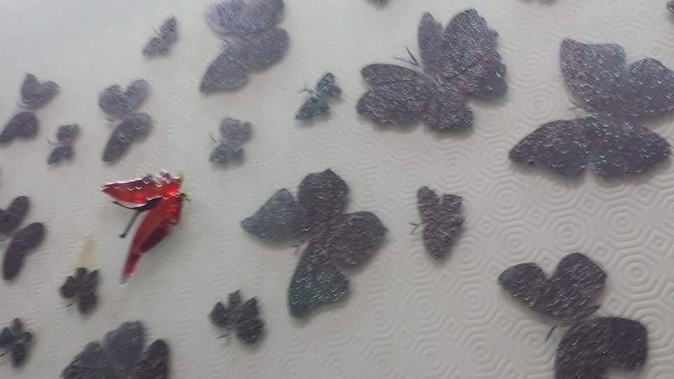 farfalle-nere